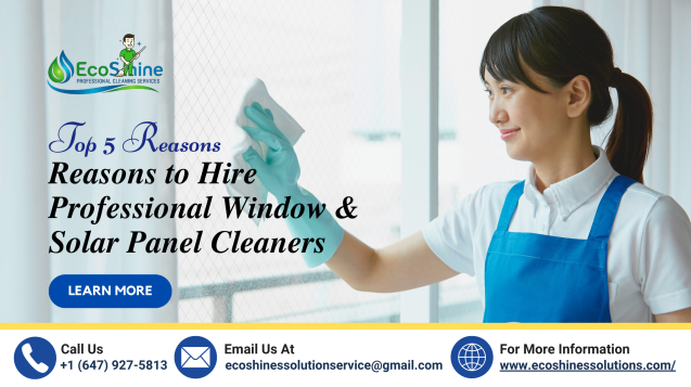 Top 5 Reasons to Hire Professional Window & Solar Panel Cleaners